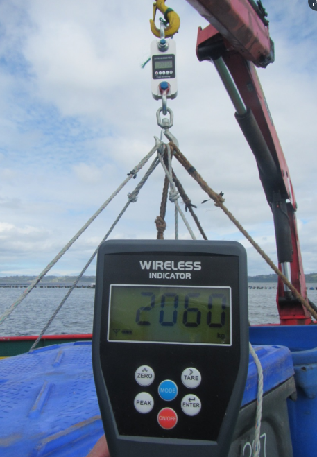 DYNAMOMETER - Image 4